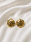 Golden Shell Stud Earrings | Haarmonaa