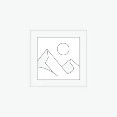 Uncategorized